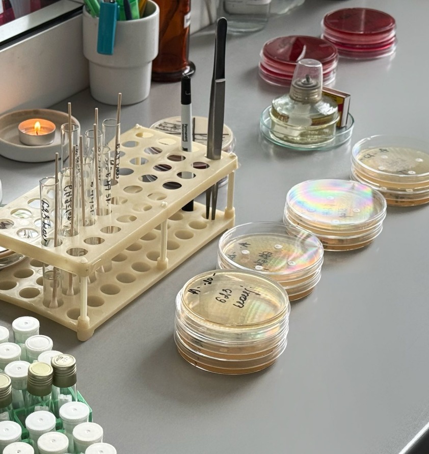 VšĮ Utenos ligoninės laboratorijoje atliekami mikrobiologiniai tyrimai