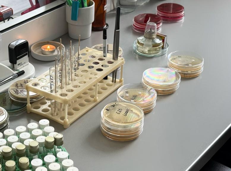 VšĮ Utenos ligoninės laboratorijoje atliekami mikrobiologiniai tyrimai
